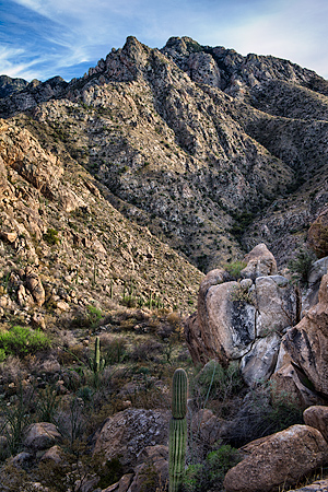 Catalina State Park