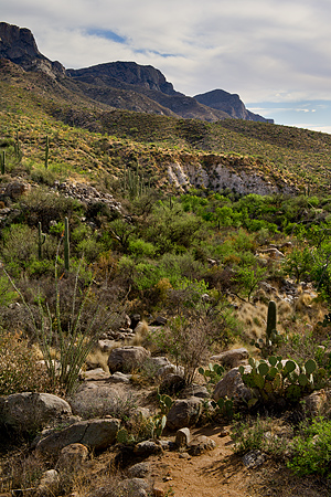 Catalina State Park