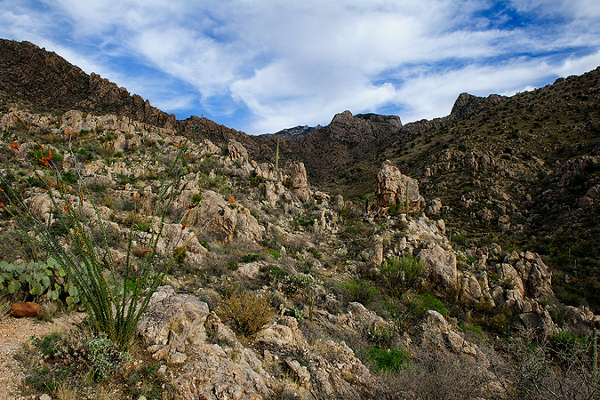 Catalina State Park