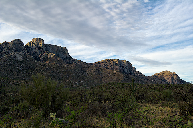 Catalina State Park