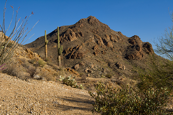 Tucson Mountains