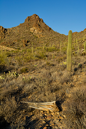 Tucson Mountains