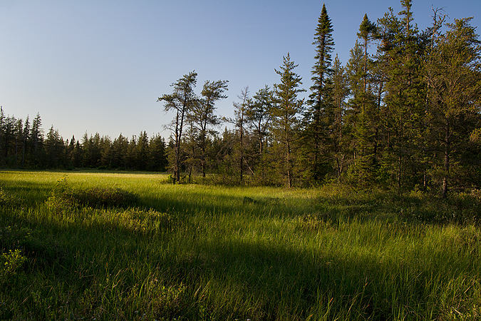 Hiawatha National Forest
