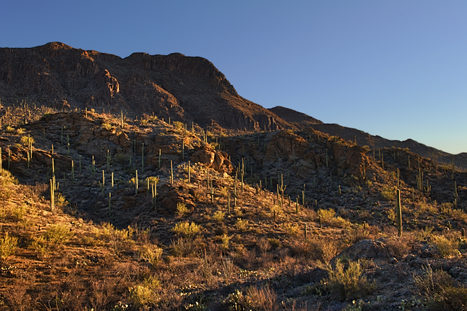 Tucson Mountains at dawn