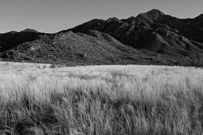 Outside Madera Canyon