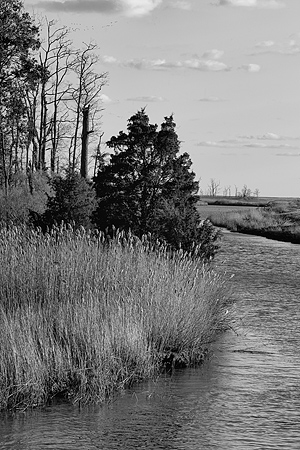 Bombay Hook