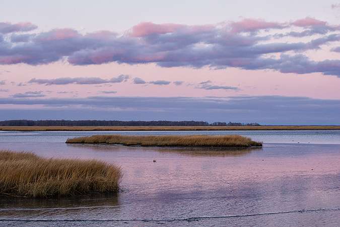 Marsh Sunset