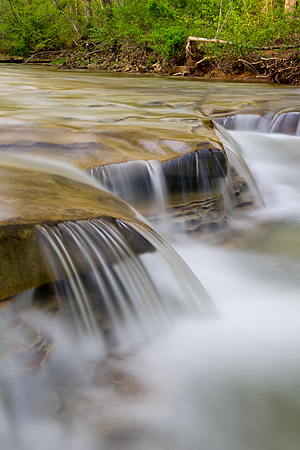 Shawnee State Forest