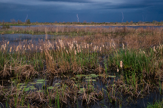 Lightning Over the Marsh Lightning Over the Marsh