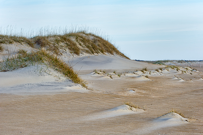Cape Hatteras Dunes