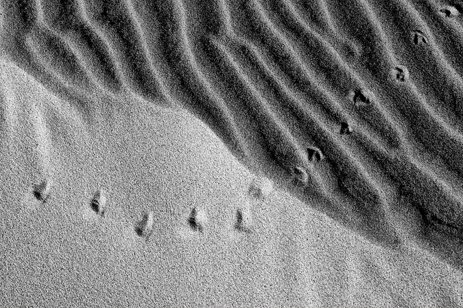 Footprints
