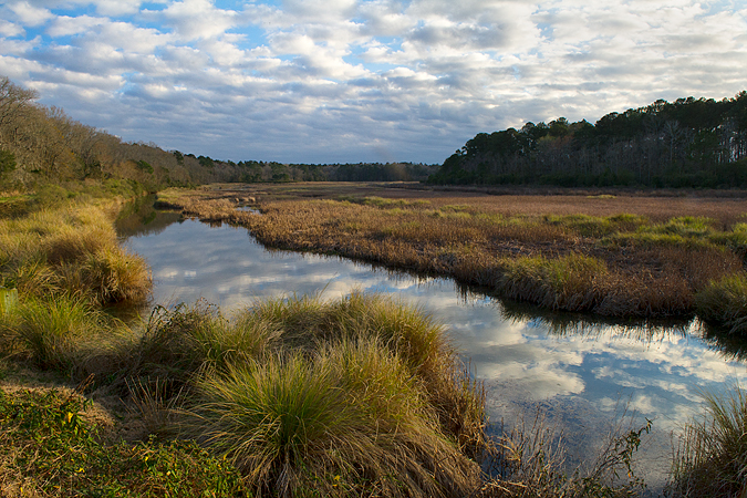 Freshwater Marsh Freshwater Marsh