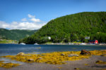 newfoundland118_dsc_1805
