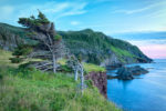 newfoundland126_dsc_2245