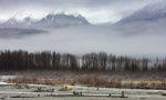 alaska077_d811164