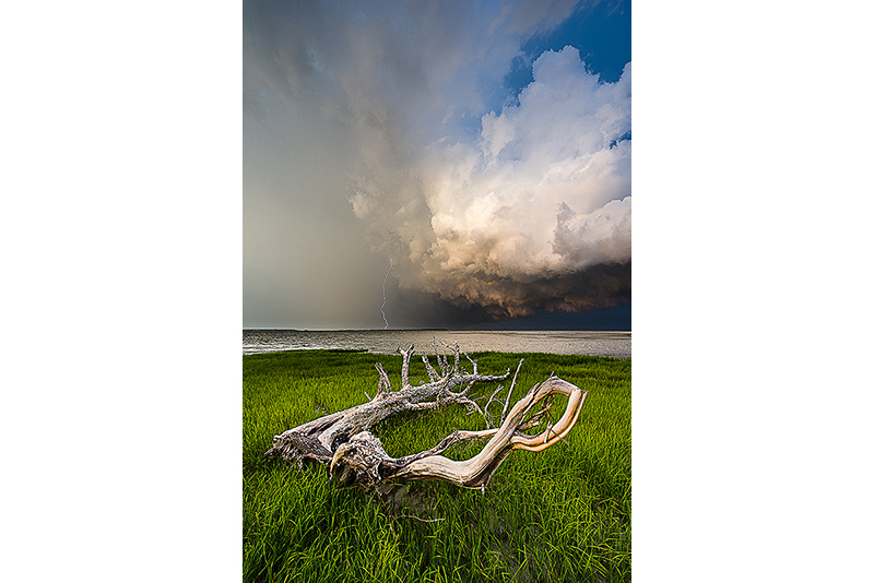 Storm Over the Marsh