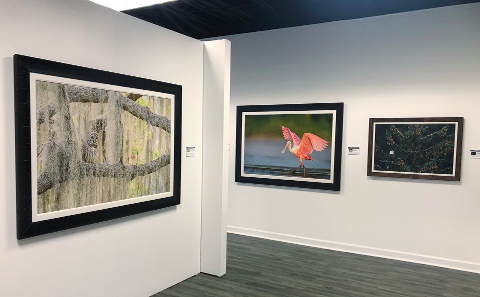Bluffton Gallery